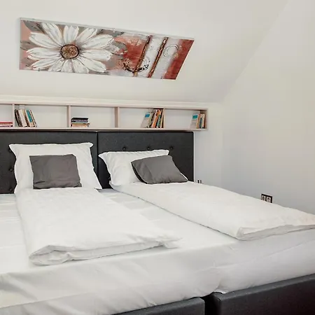 Coolis Sirul Livezii Appartement Braşov