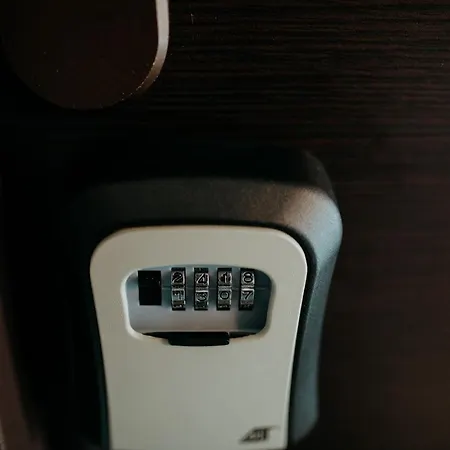 Coolis Sirul Livezii Braşov