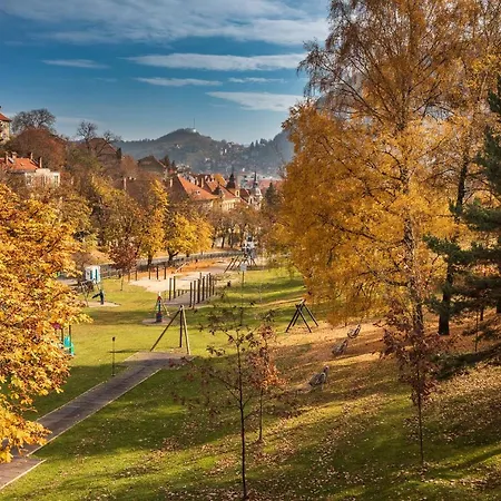 Coolis Sirul Livezii * Braşov