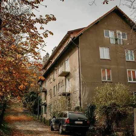 Coolis Sirul Livezii *