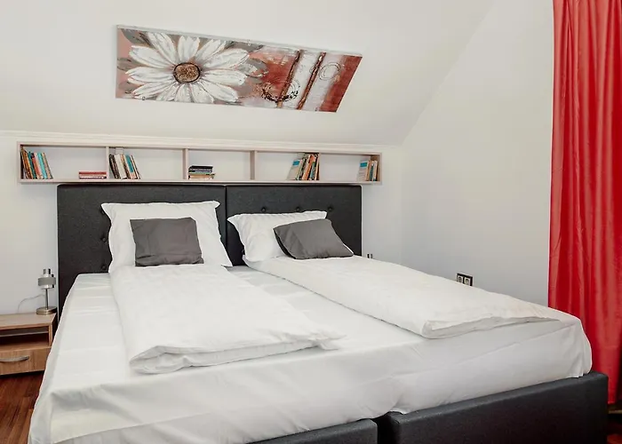 Coolis Sirul Livezii 아파트 브라쇼브