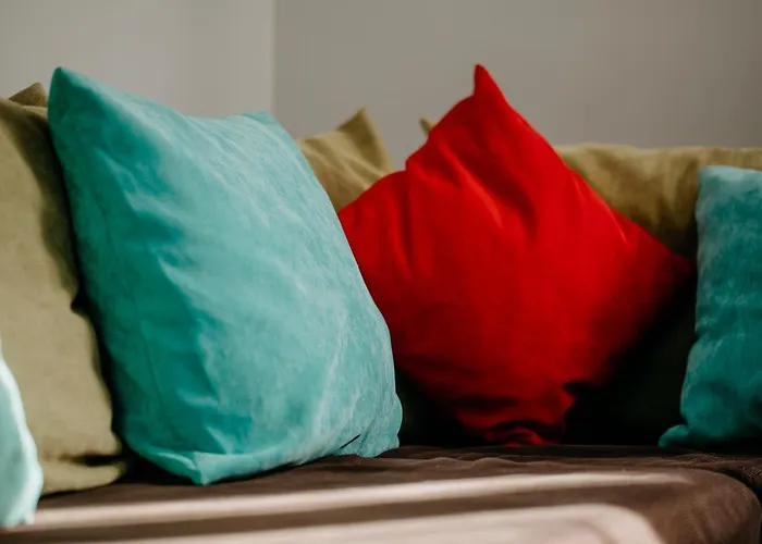 Coolis Sirul Livezii *