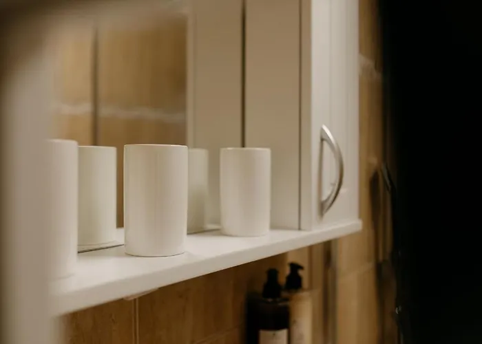 Coolis Sirul Livezii Brasov