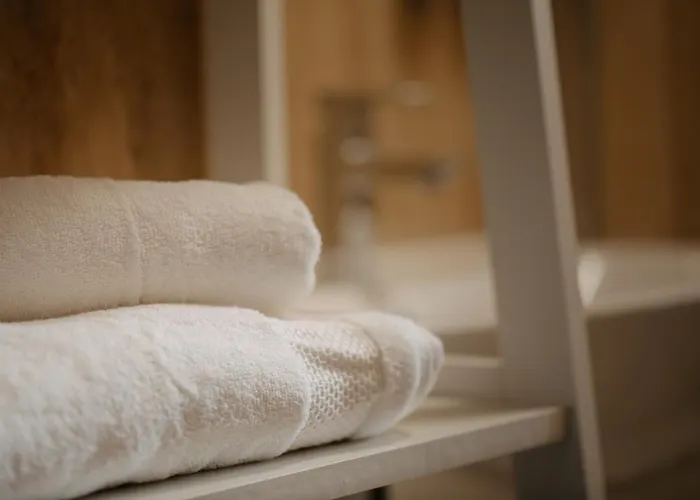 Coolis Sirul Livezii 브라쇼브