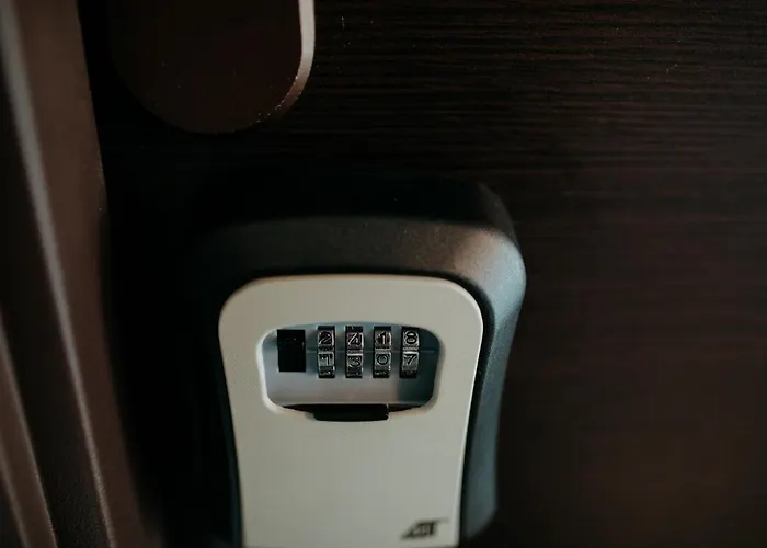 Coolis Sirul Livezii Brasov