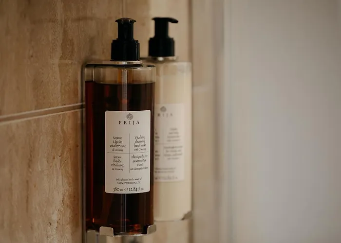 아파트 Coolis Sirul Livezii 브라쇼브