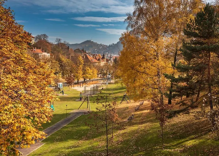 Coolis Sirul Livezii * Brasov