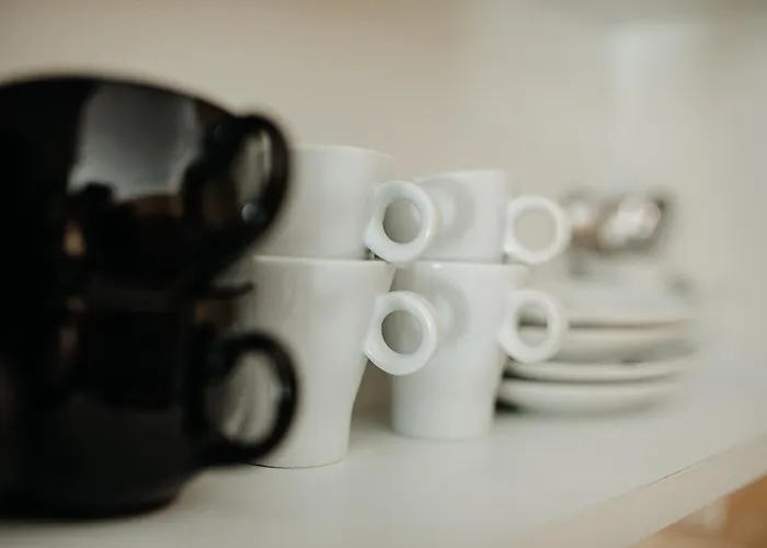 Coolis Sirul Livezii Brasov