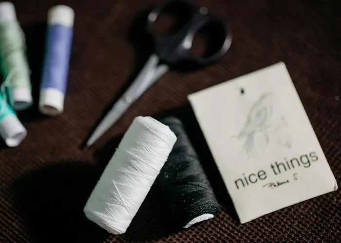 Coolis Sirul Livezii 아파트 브라쇼브