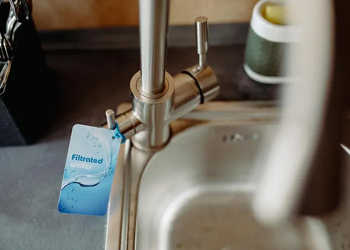 아파트 Coolis Sirul Livezii 브라쇼브