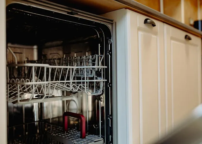 Coolis Sirul Livezii Brasov