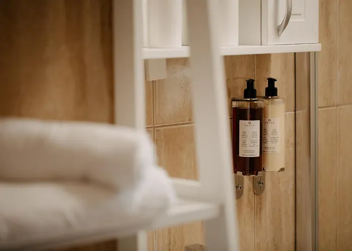 Apartment Coolis Sirul Livezii