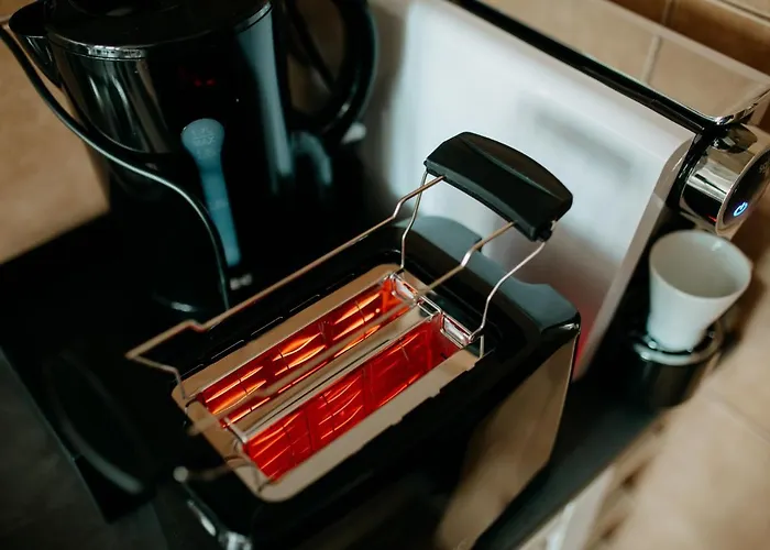 Coolis Sirul Livezii 아파트 브라쇼브