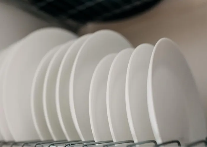 Coolis Sirul Livezii