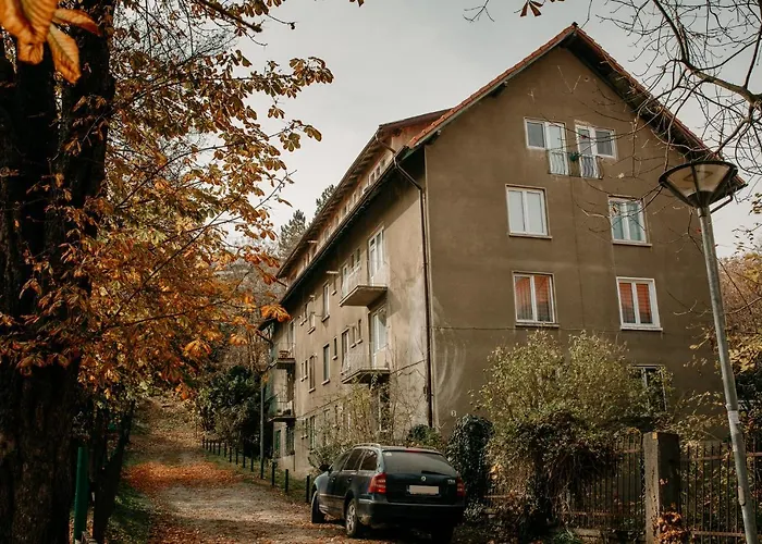 Coolis Sirul Livezii *